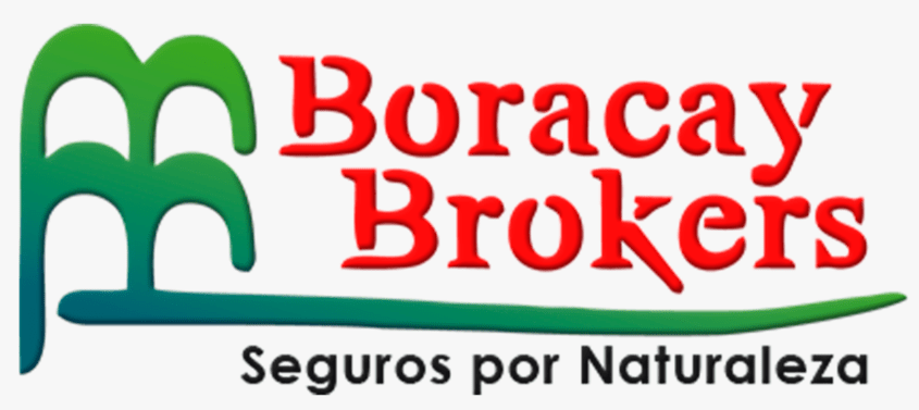 Logo Boracay Brokers