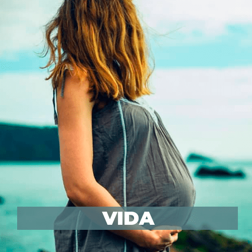 seguro de vida en correduria de seguros